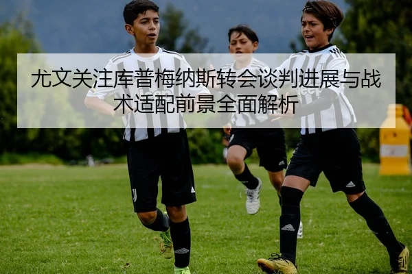 尤文关注库普梅纳斯转会谈判进展与战术适配前景全面解析